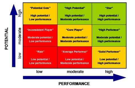 Performance Values Matrix 9 Box Grid