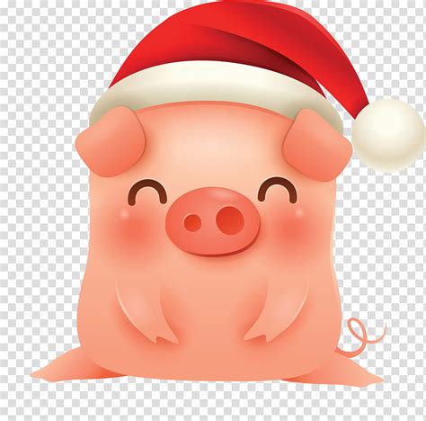 Free Download Merry Christmas Pig Cute Pig Cartoon Suidae Nose