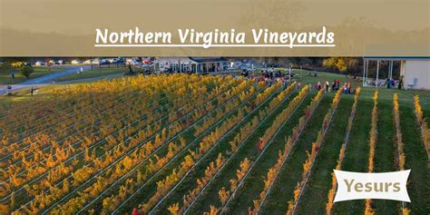 Northern Virginia Vineyards And Wineries
