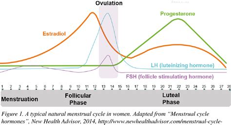 Figure 1 From Effect Of Sex Menstrual Cycle Phase And Monophasic Oral