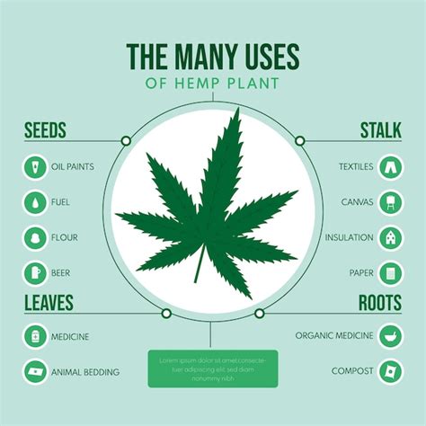 Free Vector Uses Of Hemp Plant Infographic