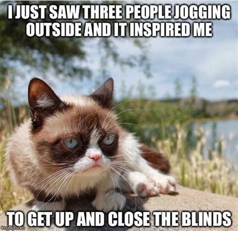 Top 22 Grumpy Cat Memes People Humor
