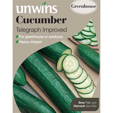 Cucumber Seeds Telegraph Improved 10 Approx