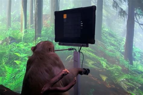 Elon Musk-backed Neuralink releases video of monkey playing video game