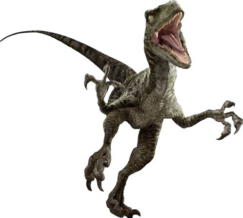 Jurassic World Raptor Png
