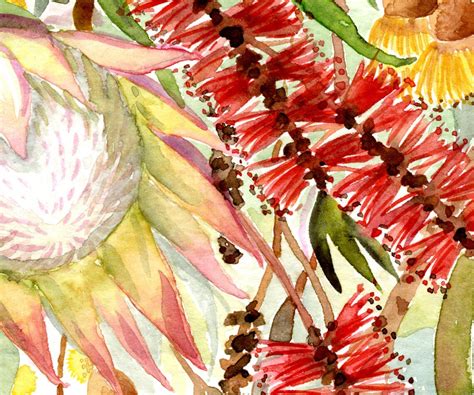 Australian Native Flower Art Prints Aussie Flora Wall Art Set Etsy