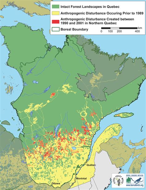 Anthropogenic Disturbance In Quebecs Boreal Forest Boreal Songbird