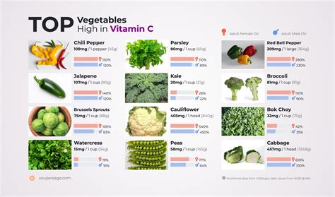 Vegetables High In Vitamin C List Food Keg