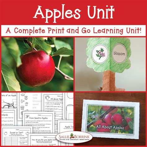 Apple Farmer Annie Learning Ideas A Quiet Simple Life With Sallie
