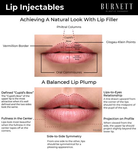 What Is The Perfect Shape Of Lips