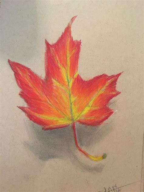 Realistic Drawing Of A Leaf Falling Leaf Drawing Colored Pencil