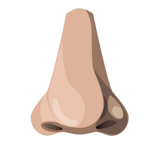 Nose Png Png All