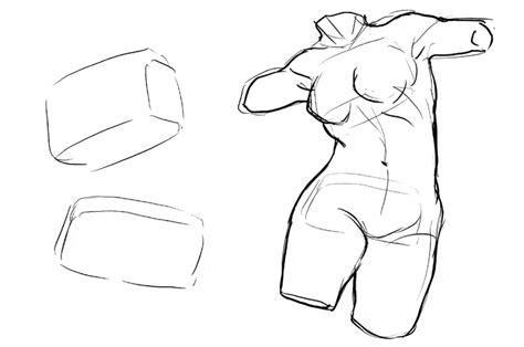 How To Draw The Female Torso An In Depth Guide GVAAT S WORKSHOP 2022