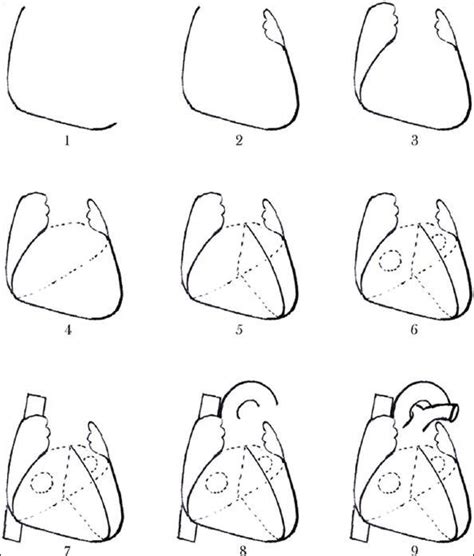 The Steps For Drawing A Sketch Of Human Heart 1 Right And Inferior