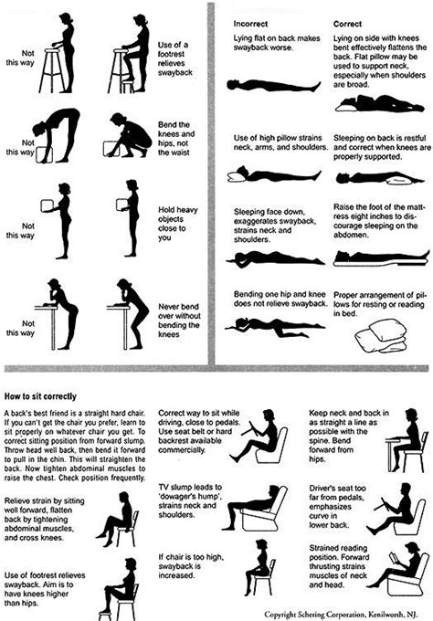 Physical Therapy Exercises For Lumbar Scoliosis Exercise Poster