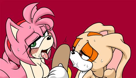 1306124 Amy Rose Cream The Rabbit Sonic Team Holy Shit Thats A Lot Of