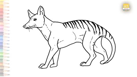 Tasmanian Tiger Drawing Easy Dibujo Del Contorno Del Tigre De