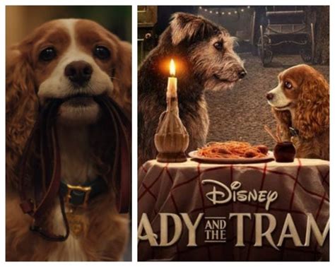 Lady And The Tramp Remake Set To Be Released On 12 November 2019