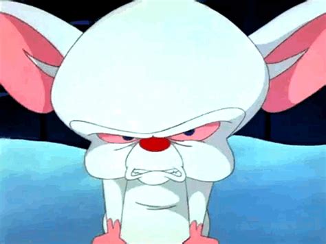 Pinky And The Brain Angry Eye Twitch 