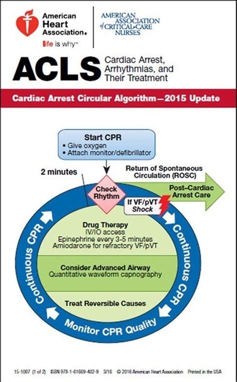 Acls Pocket Reference Cards Life Support Services