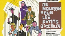 Du mouron pour les petits oiseaux (1962), synopsis, casting, diffusions ...