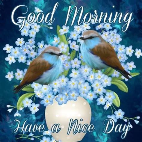 Good morning have a nice day coffee. Good Morning Have A Nice Day Image With Birds Pictures ...