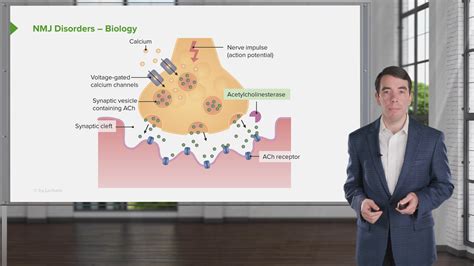 Clinical Neurology Online Usmle Prep Course Lecturio