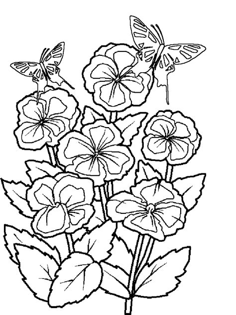 Dltk Coloring Pages Spring - Julho Wallpaper