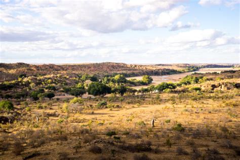 Things To Do At Mapungubwe National Park Sas Ancient Kingdom