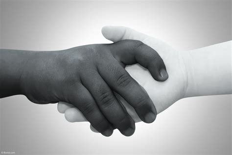 Black And White Kids Shake Hands Children Holding Hands Hand
