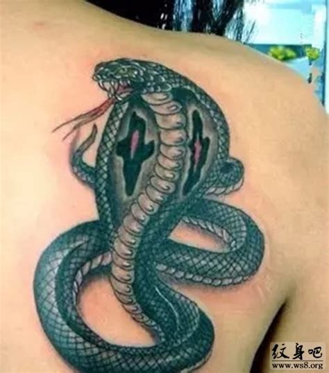 34 Reptile Snake Tattoos