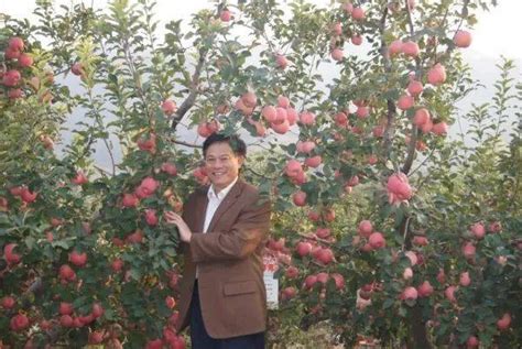 这就是山东 山东科研团队证实苹果起源于中国 研发出中国芯红肉苹果 学森