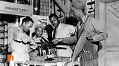 The Tuskegee Airmen: Facts, Members, Planes & WWII Story | PBS