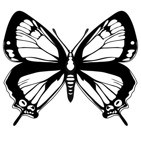 Free Butterflies Black And White Outline Download Free Butterflies