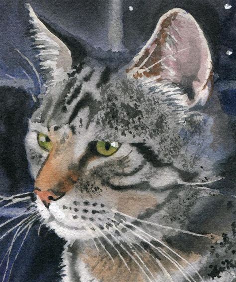 Tabby Cat Art Painting Print Watercolor Painting Rachel Parker Etsy