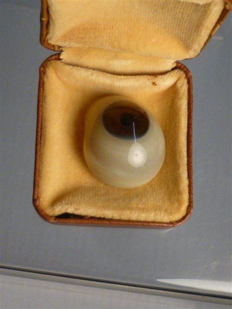 Antique Glass Eye In Box Nov 17 2013 Burns Auction And Appraisal Llc In Oh Antique Glass