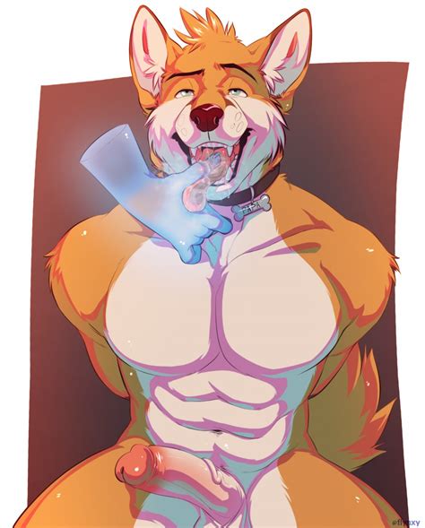Rule 34 Abs Anthro Balls Bodily Fluids Canid Canine Collar