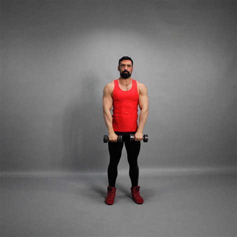 Dumbbell Standing Straight Arm Front Raise Above Head Fit Drills Website