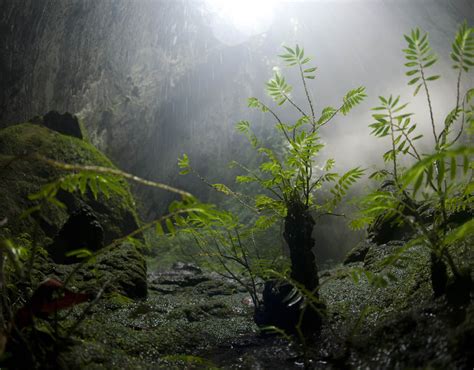 A Plant Covered Cavescape In Hang Son Doong Inside The Worlds