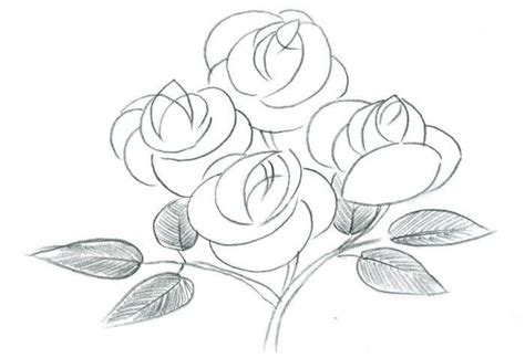 15 Contoh Sketsa Bunga Simple Dan Mudah Broonet