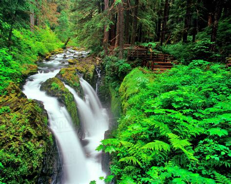 Sol Duc Falls In Olympic National Park In Washington