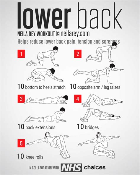 How To Workout With Lower Back Injury Workoutwalls