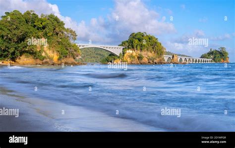 The Bridges Of Samana Puente Peatonal Island Park Samana Dominican