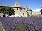 Tourisme à Saint-Rémy de Provence, 12 sites touristiques
