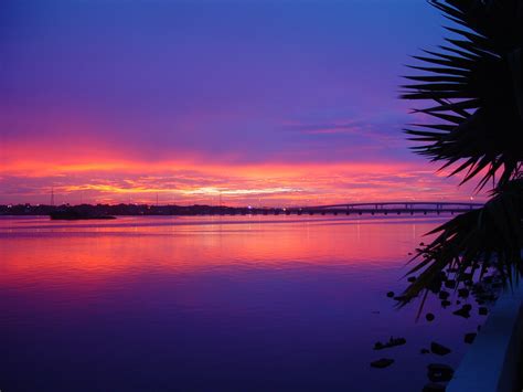 Daytona Beach Halifax River Tropical Palm Tree Sunset Beach Sunset