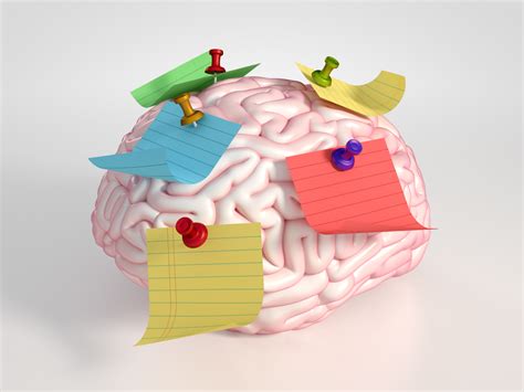 40 Tipos De Memoria ¿cómo Guarda El Cerebro Humano Los Recuerdos