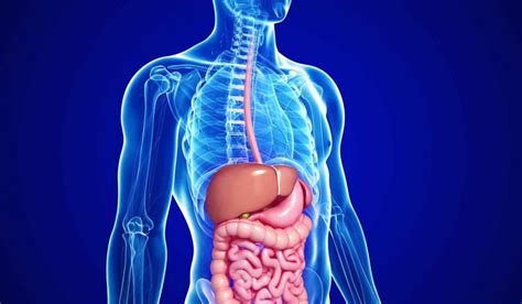 Gastroenterology Treatment Cost In India Medi Connect India
