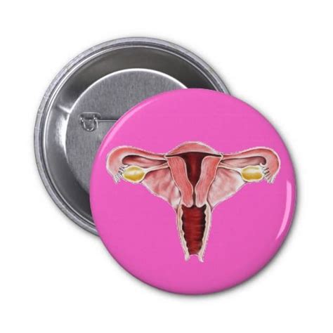 Female Reproductive System Button Female Reproductive System Reproductive System
