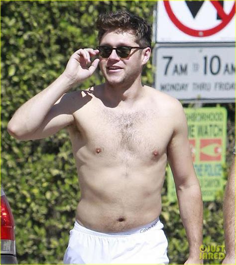 Niall Horan Goes Shirtless For Hike At L A S Runyon Canyon Photo