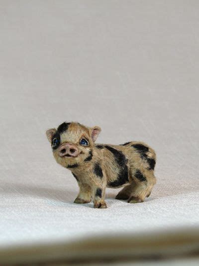 Ooak Miniature 1 12 Micro Pig Sculpture By White Forest Bears Figur